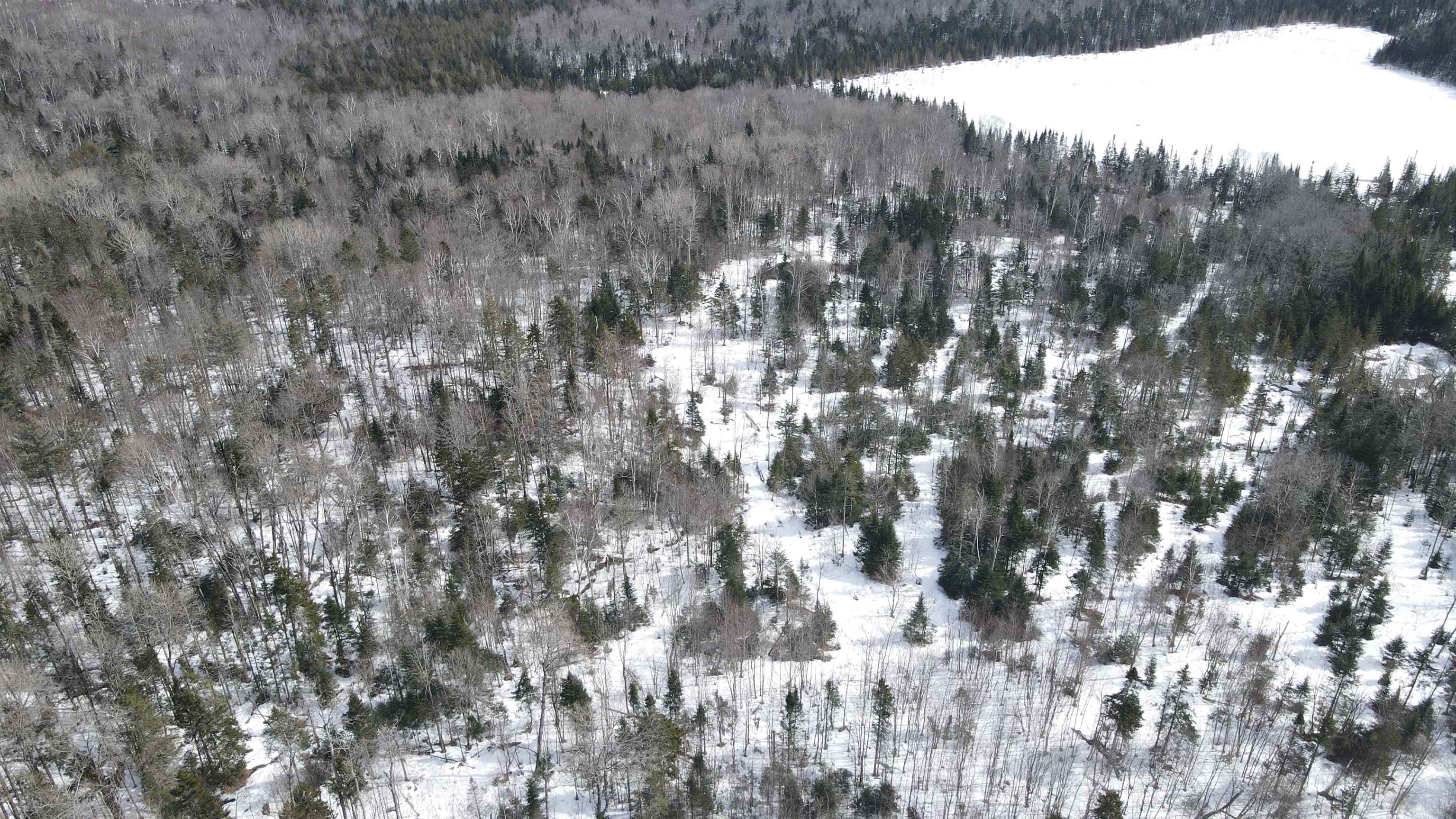 1606 Town Farm Road Sheffield, VT 05851 - Photo 46 of 49