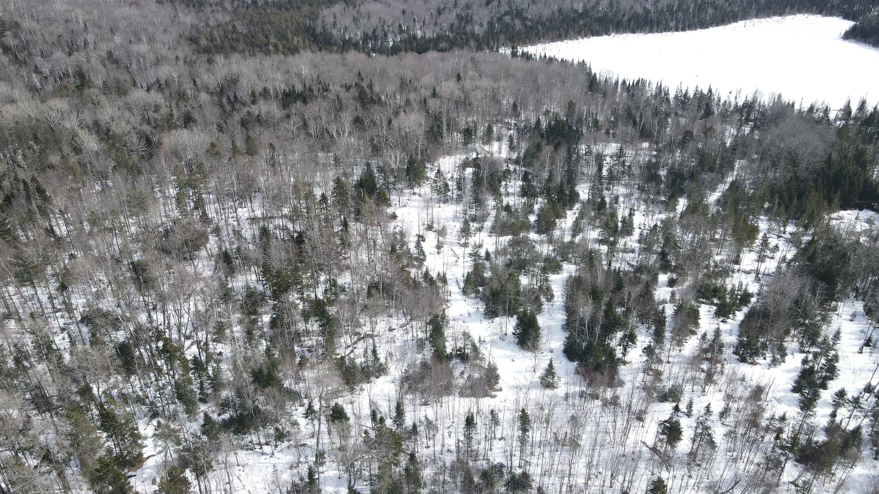 1606 Town Farm Road Sheffield, VT 05851 - Photo 47 of 49