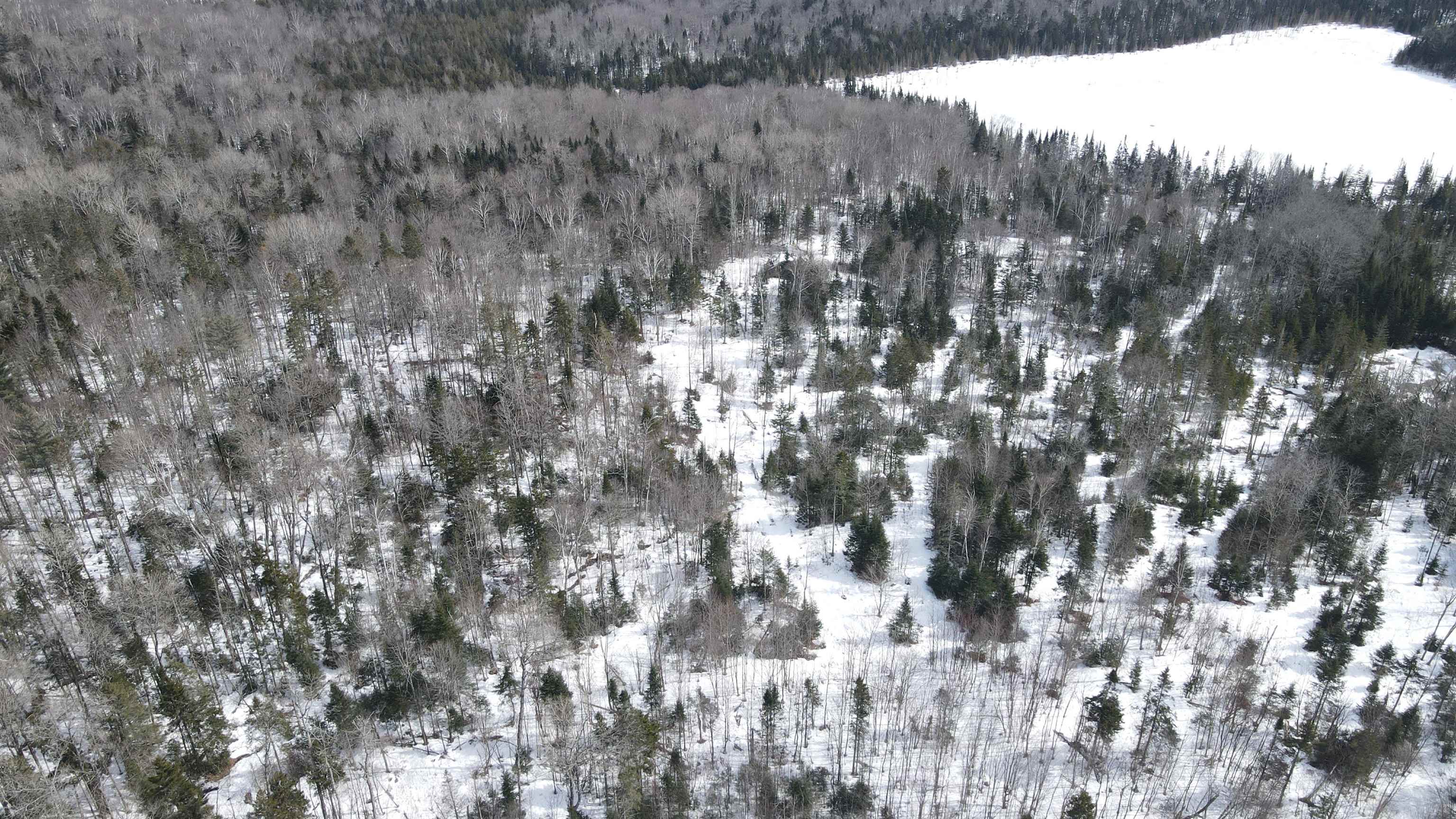 1606 Town Farm Road Sheffield, VT 05851 - Photo 48 of 49