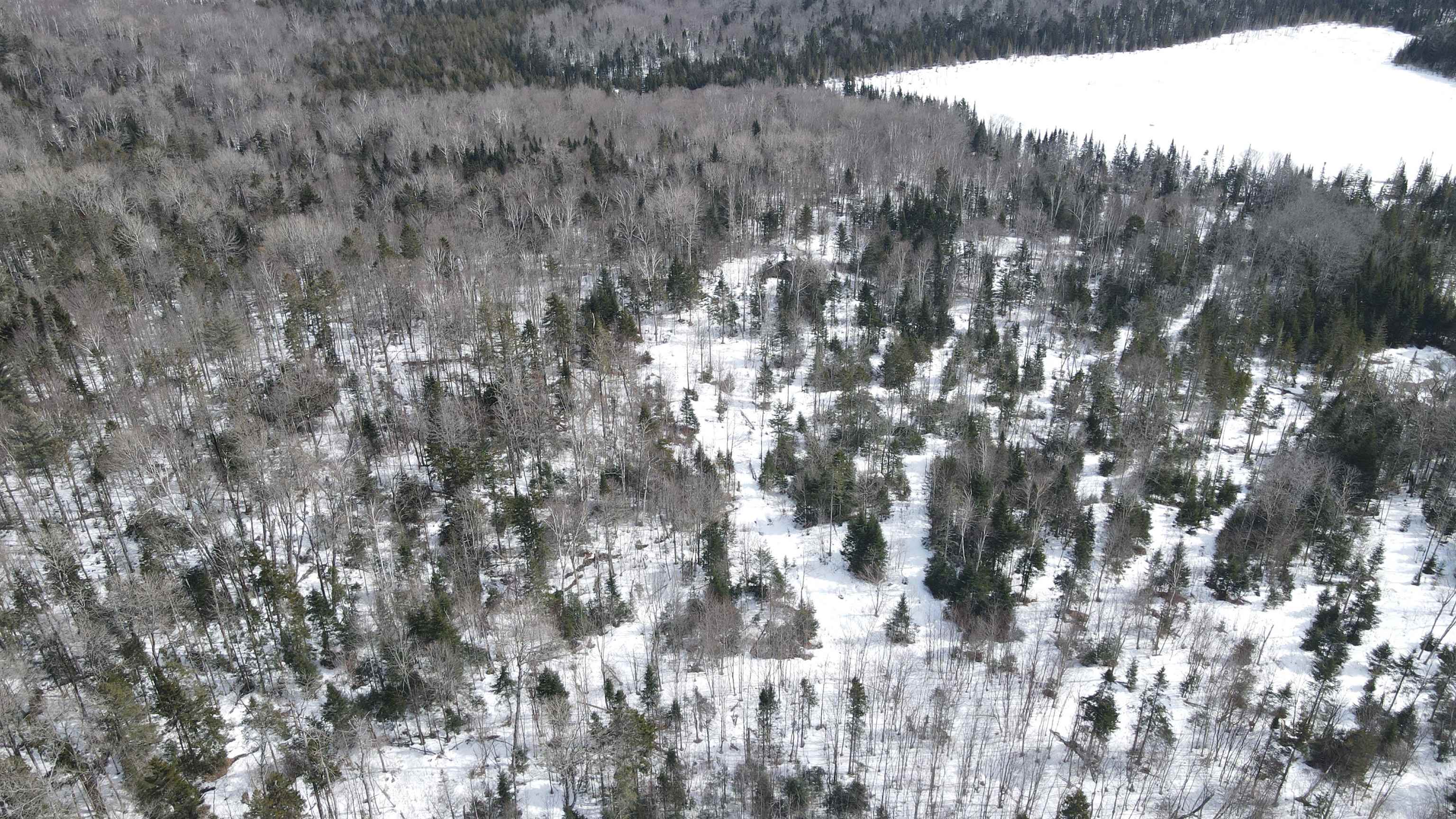 1606 Town Farm Road Sheffield, VT 05851 - Photo 49 of 49