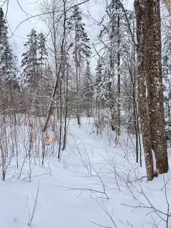 $130,000 | 1606 Town Farm Road, Sheffield, VT 05851