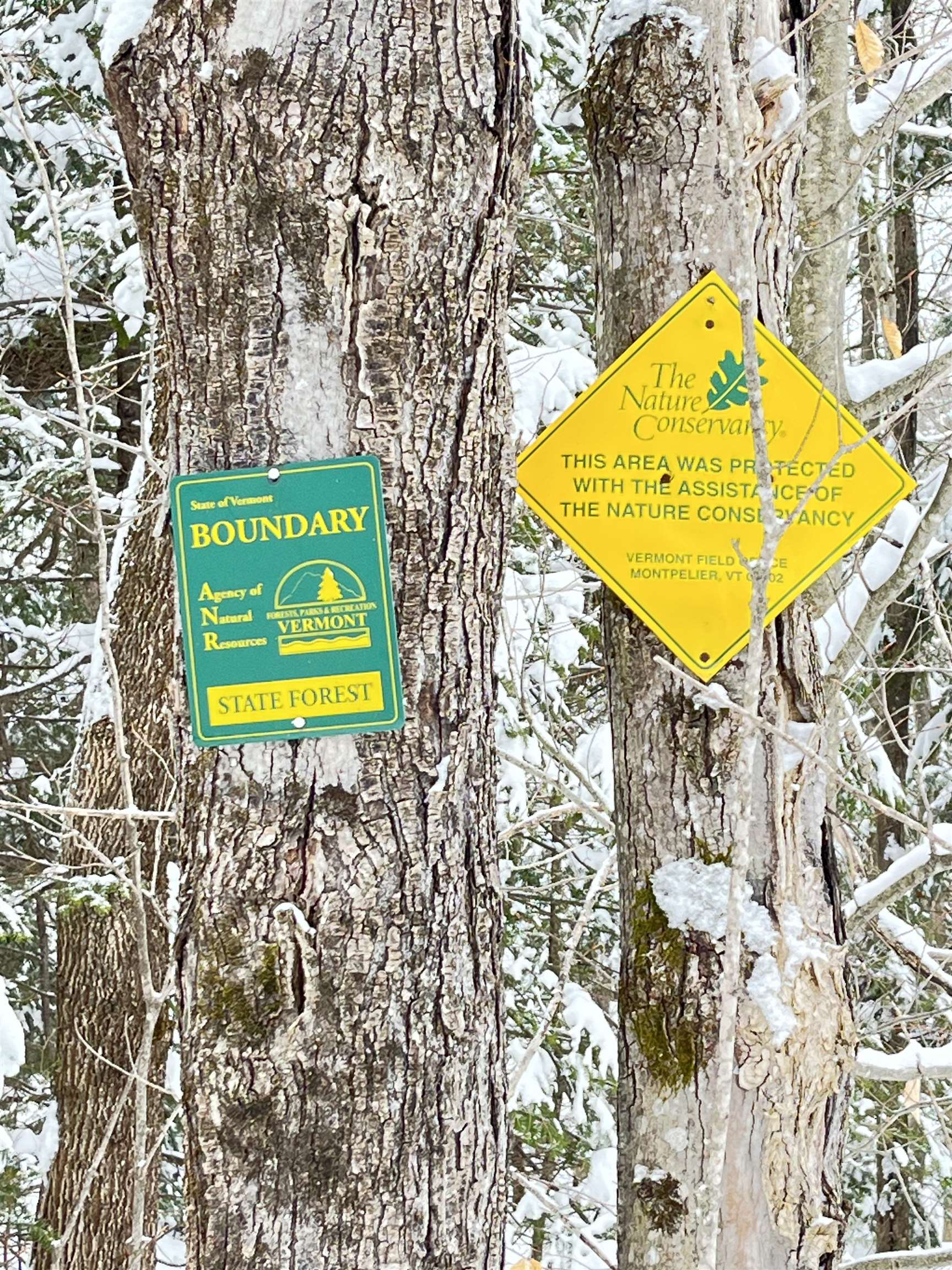 1606 Town Farm Road Sheffield, VT 05851 - Photo 6 of 49