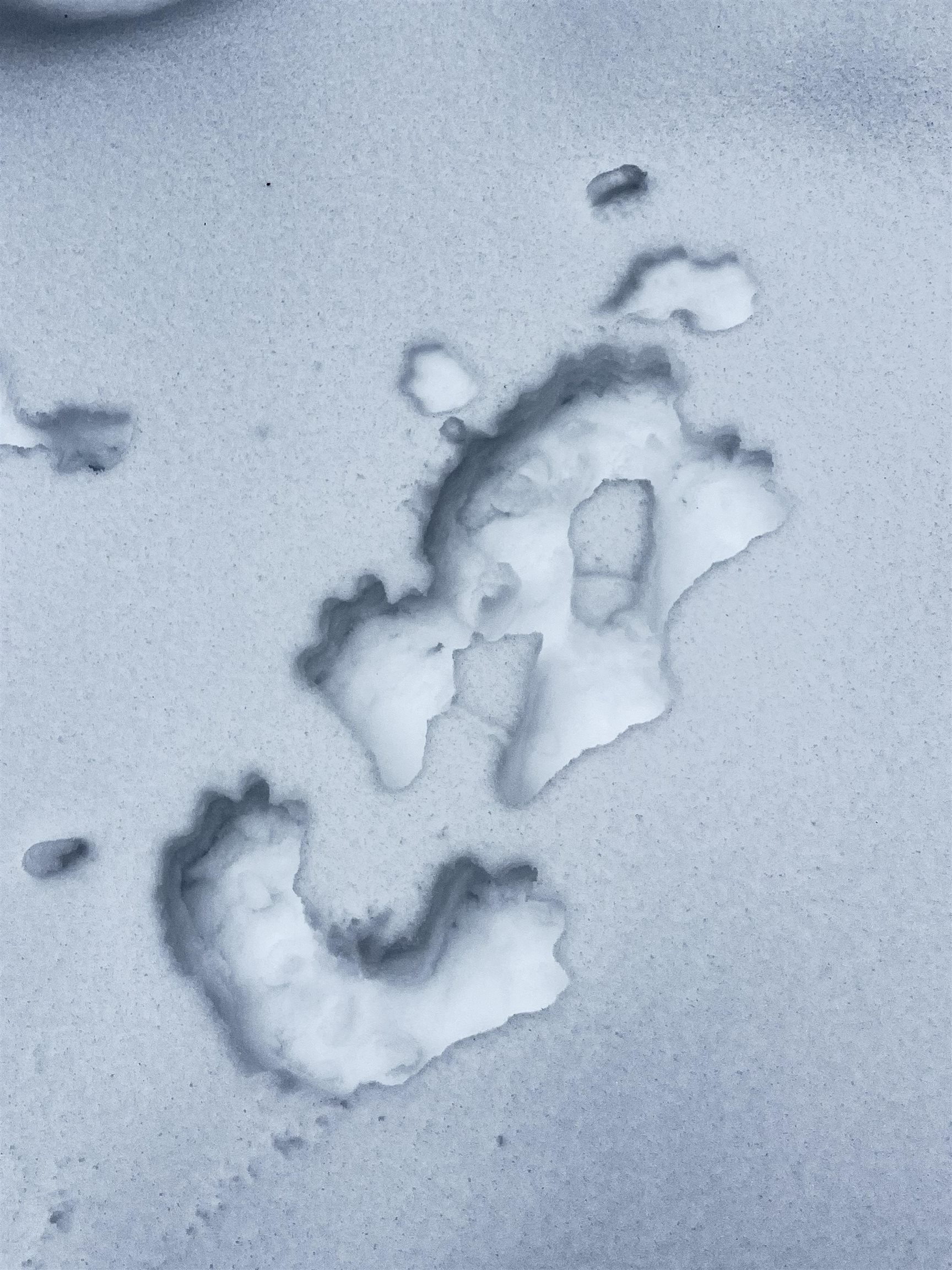 1606 Town Farm Road Sheffield, VT 05851 - Photo 7 of 49