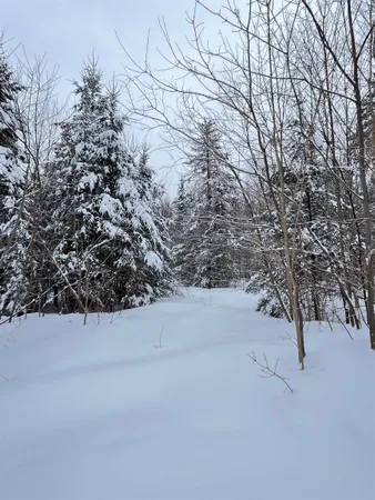 $130,000 | 1606 Town Farm Road, Sheffield, VT 05851