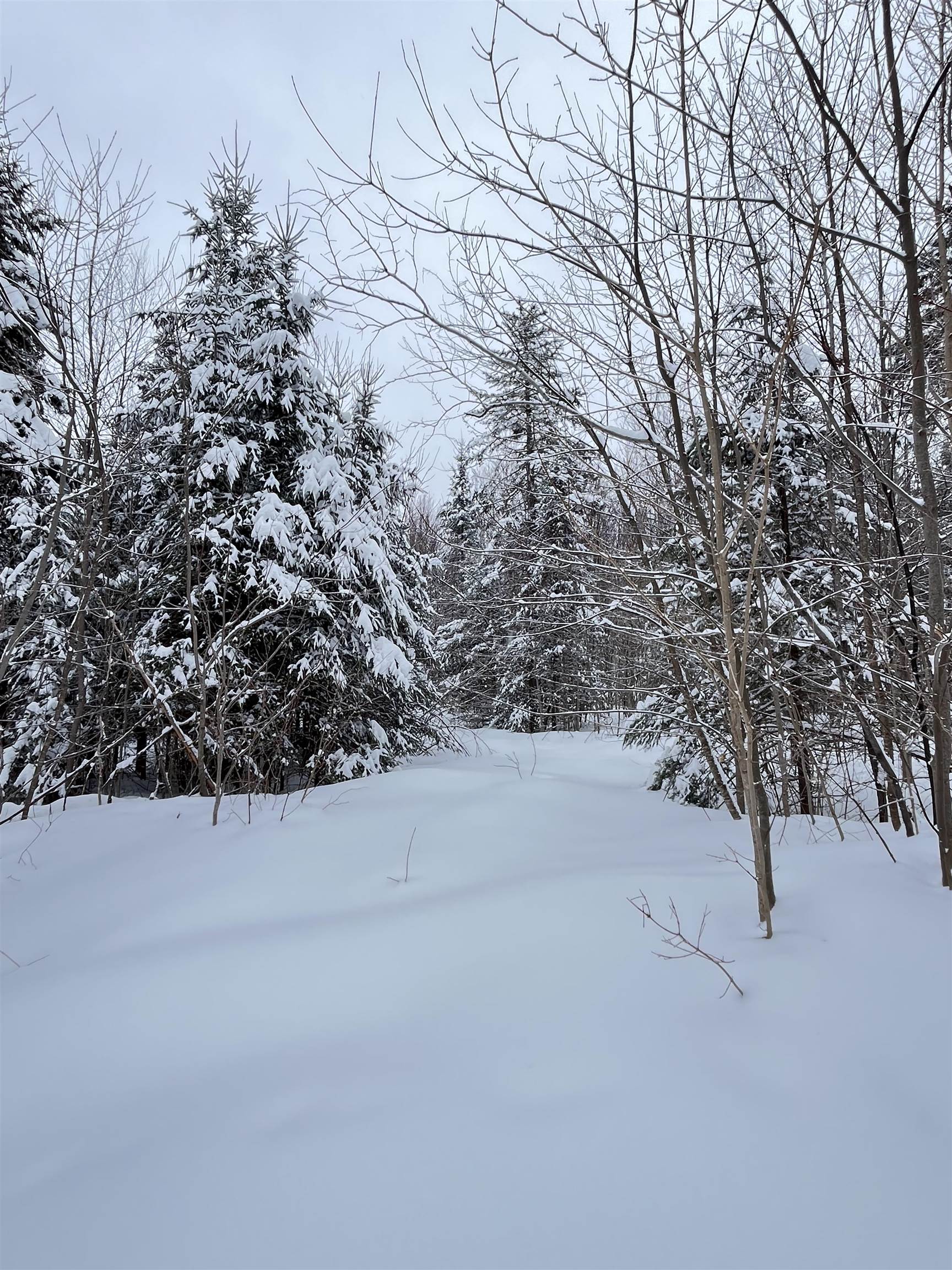 1606 Town Farm Road Sheffield, VT 05851 - Photo 8 of 49