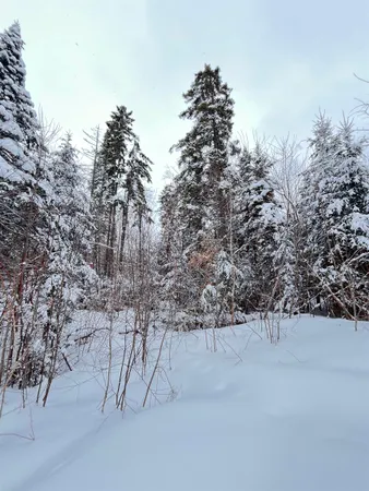 $130,000 | 1606 Town Farm Road, Sheffield, VT 05851