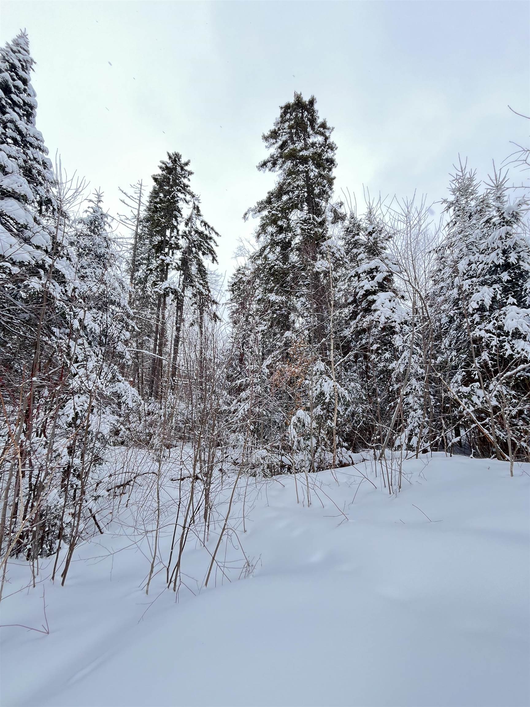 1606 Town Farm Road Sheffield, VT 05851 - Photo 9 of 49