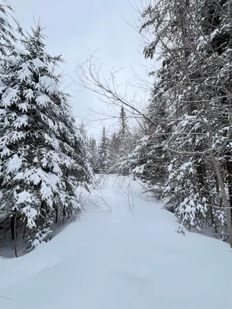 $130,000 | 1606 Town Farm Road, Sheffield, VT 05851