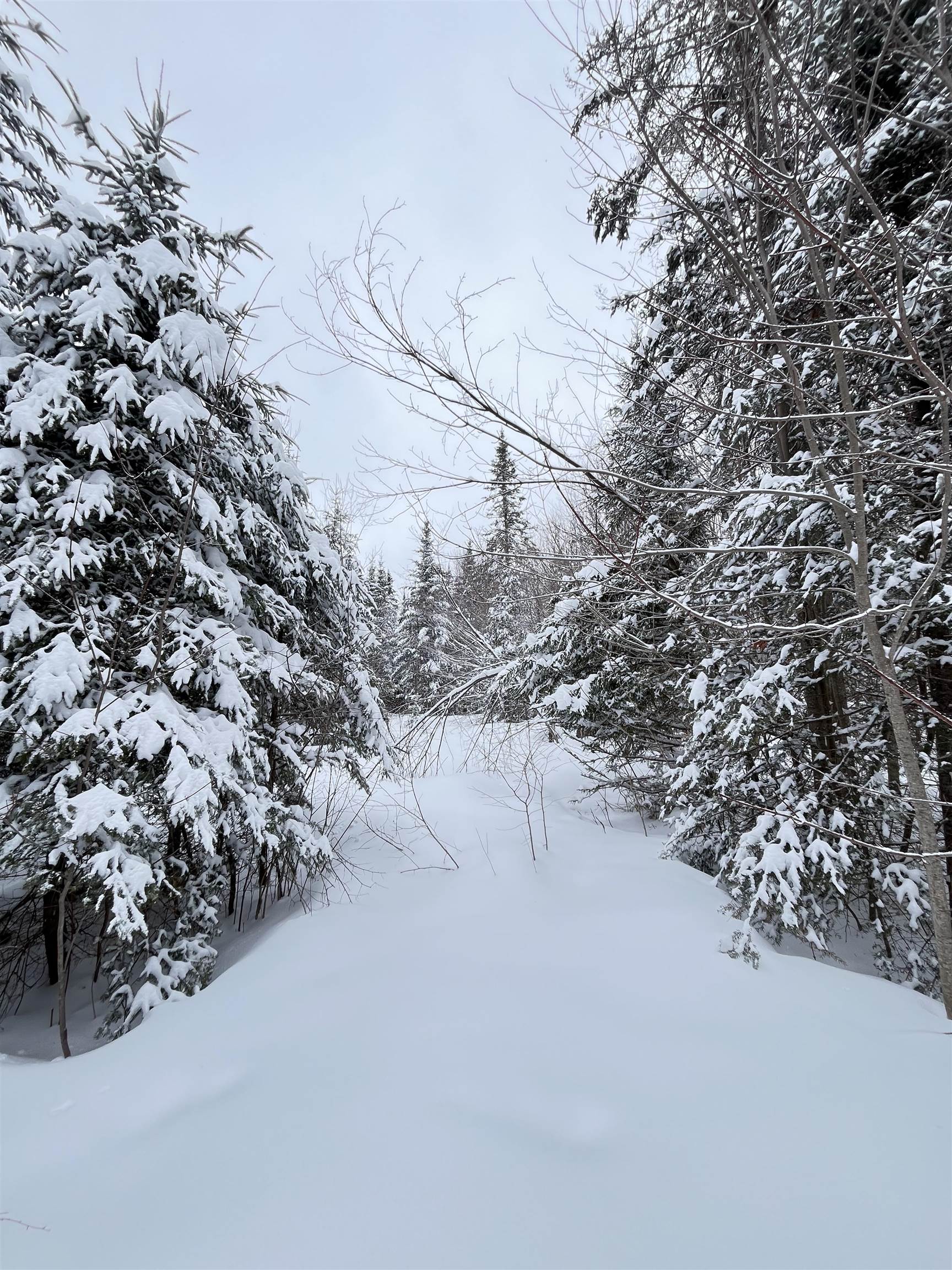 1606 Town Farm Road Sheffield, VT 05851 - Photo 10 of 49