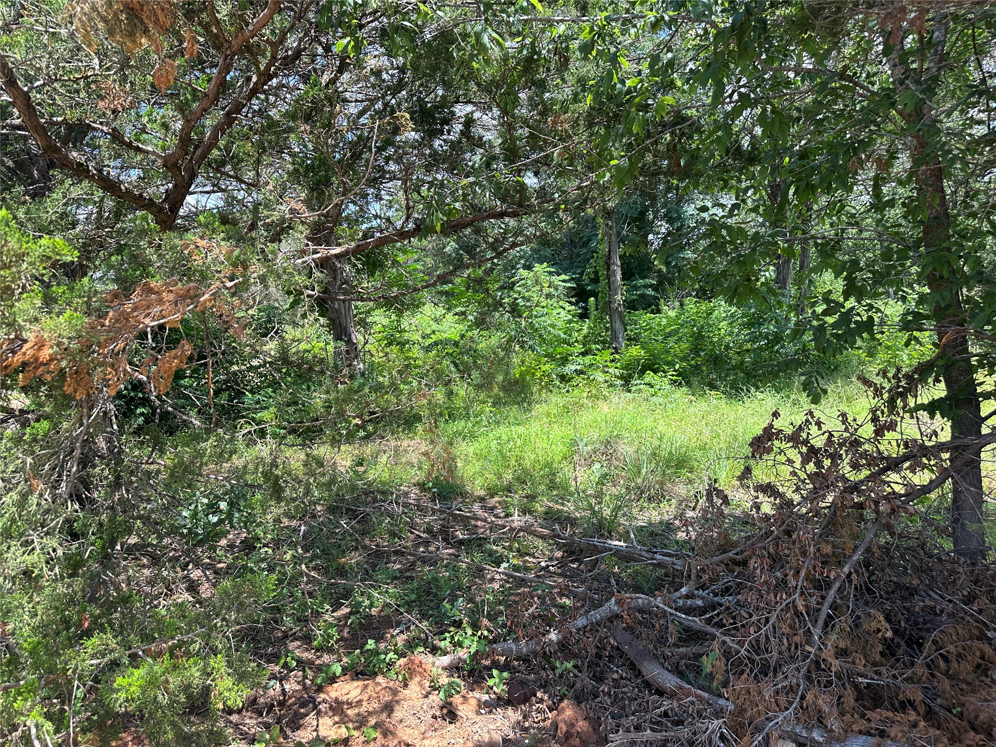 4 Robin Run Bastrop, TX 78602 - Photo 2 of 4 a view of a garden