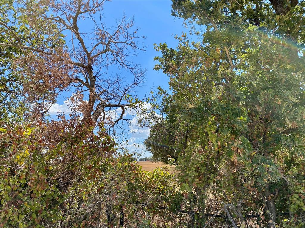 915 County Road 226 Rising Star, TX 76471 - Photo 1 of 1 Gallery Image 1