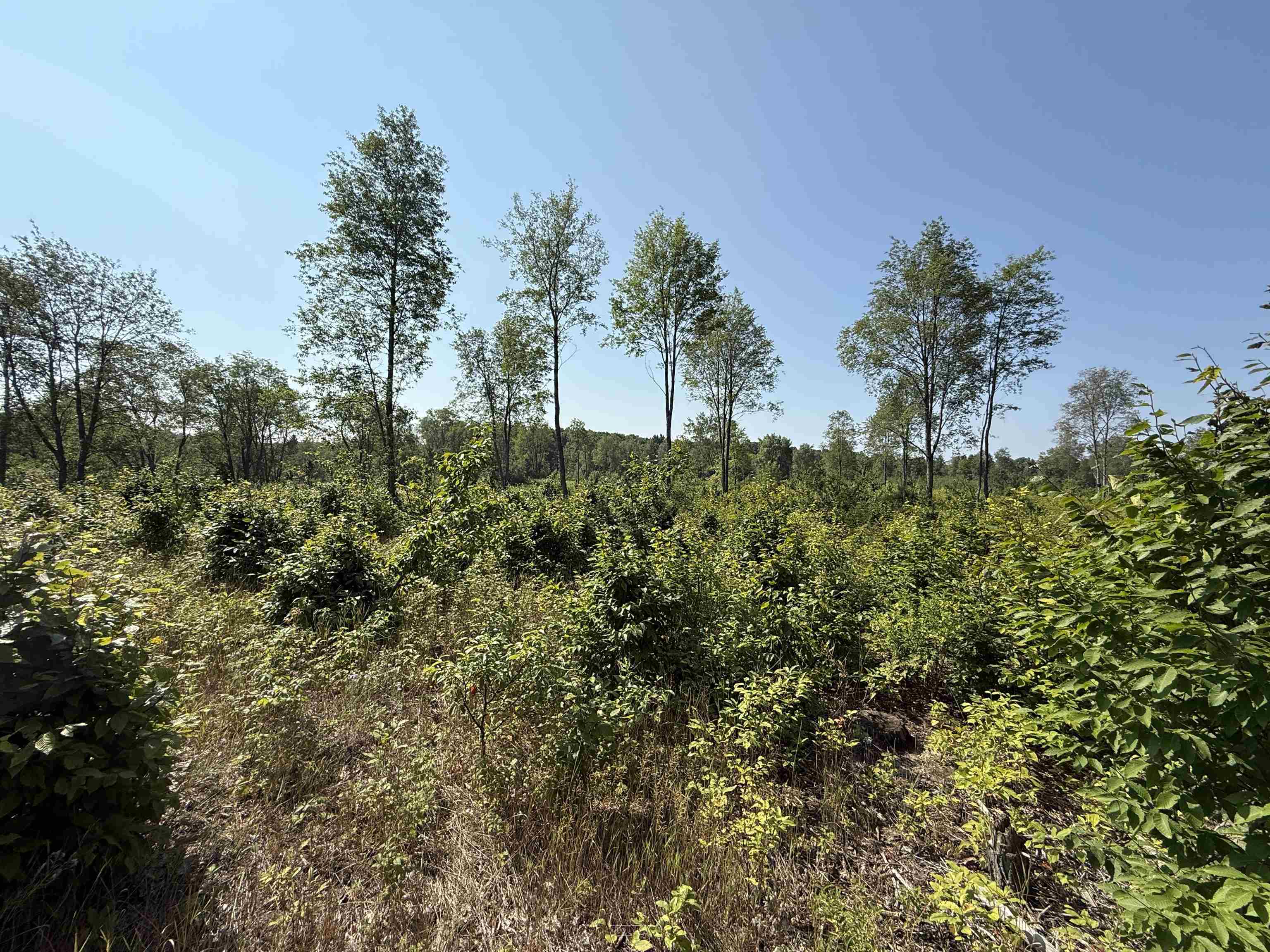 3 East Kasson Road, Unit LOT: A3 Maple City, MI 49664 - Photo 1 of 12