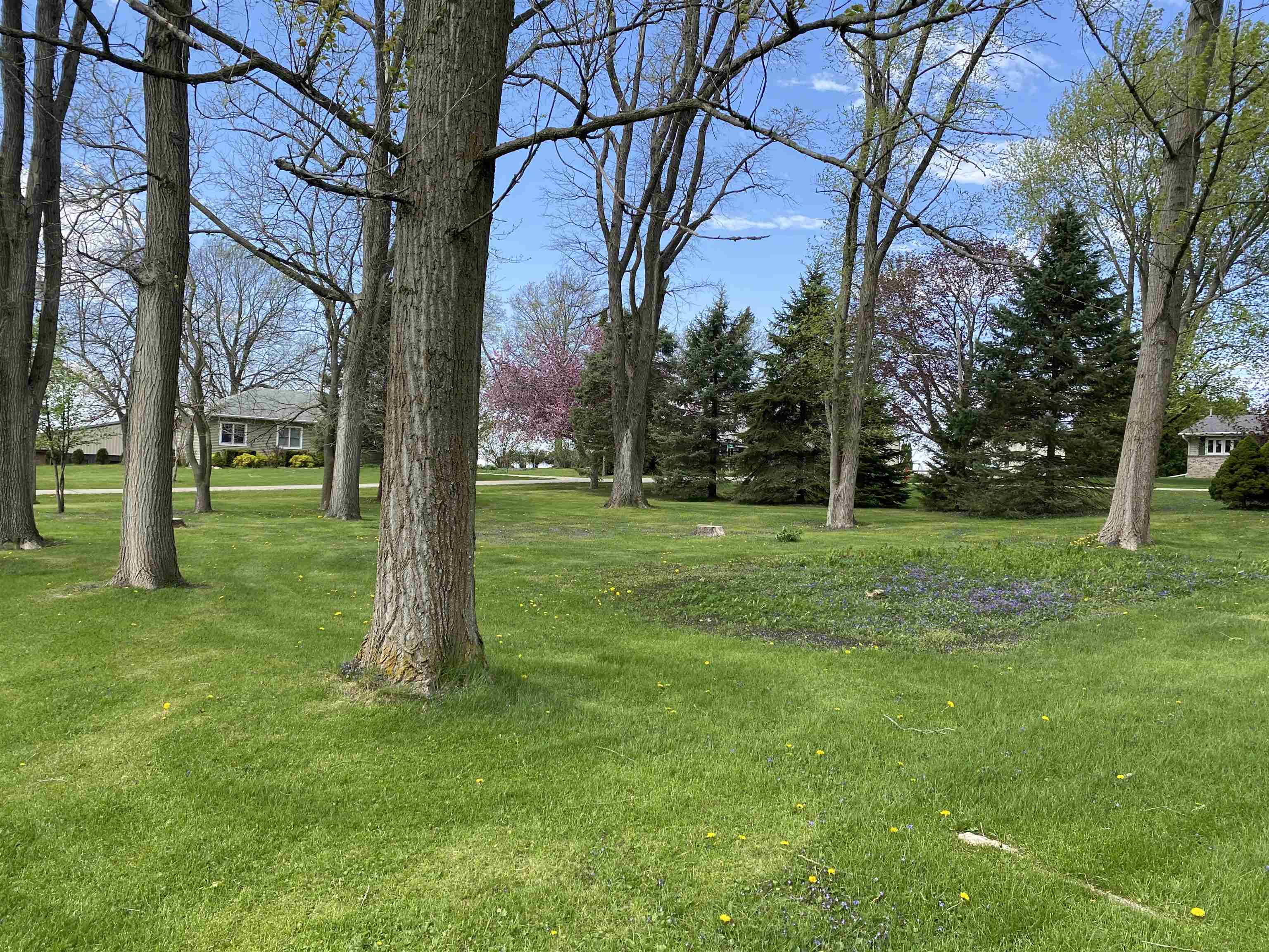 0 Davis Street Davis, IL 61019 - Photo 3 of 14 Gallery Image 3