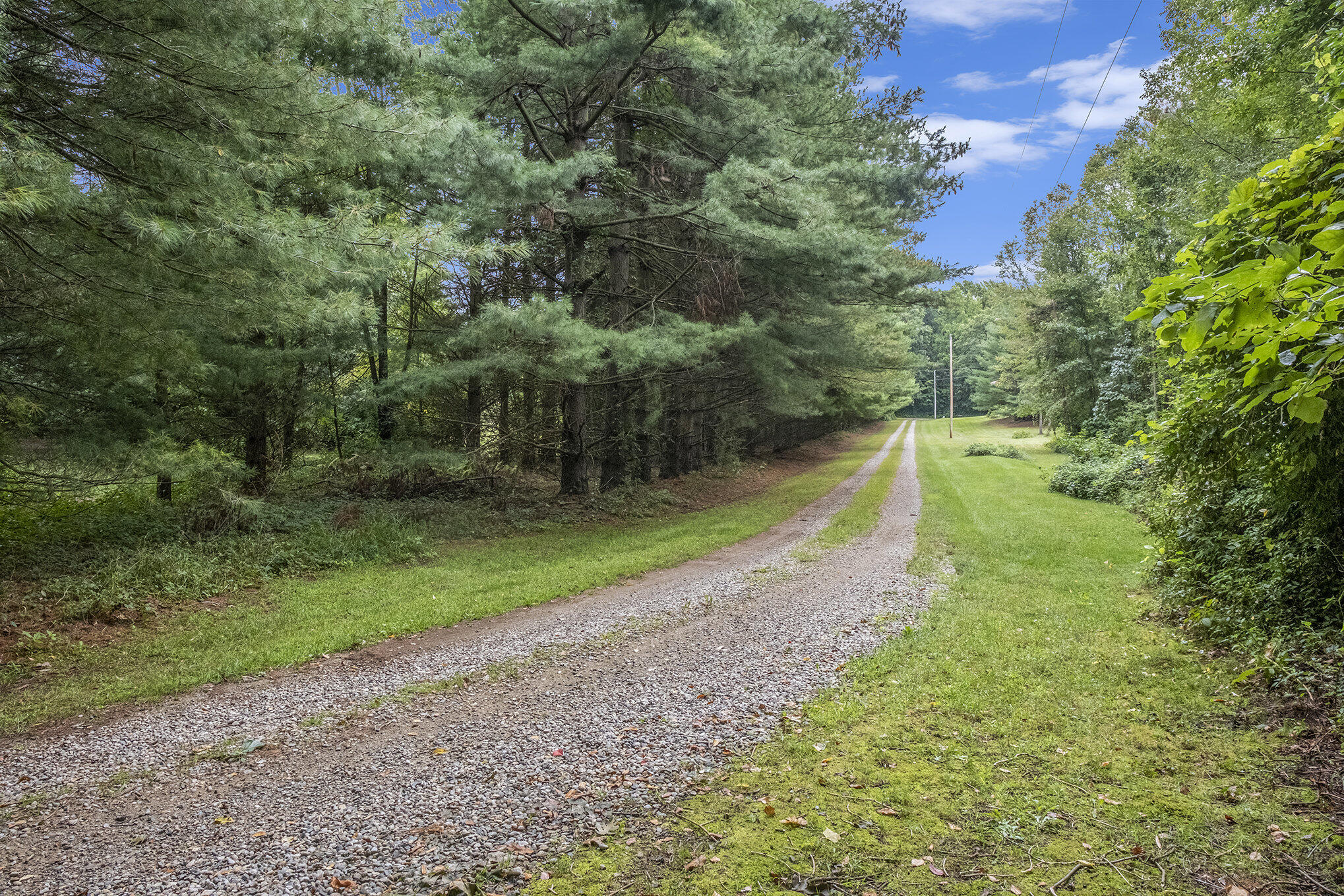 8740 Roe Road Chelsea, MI 48118 - Photo 49 of 65 014_sbp_