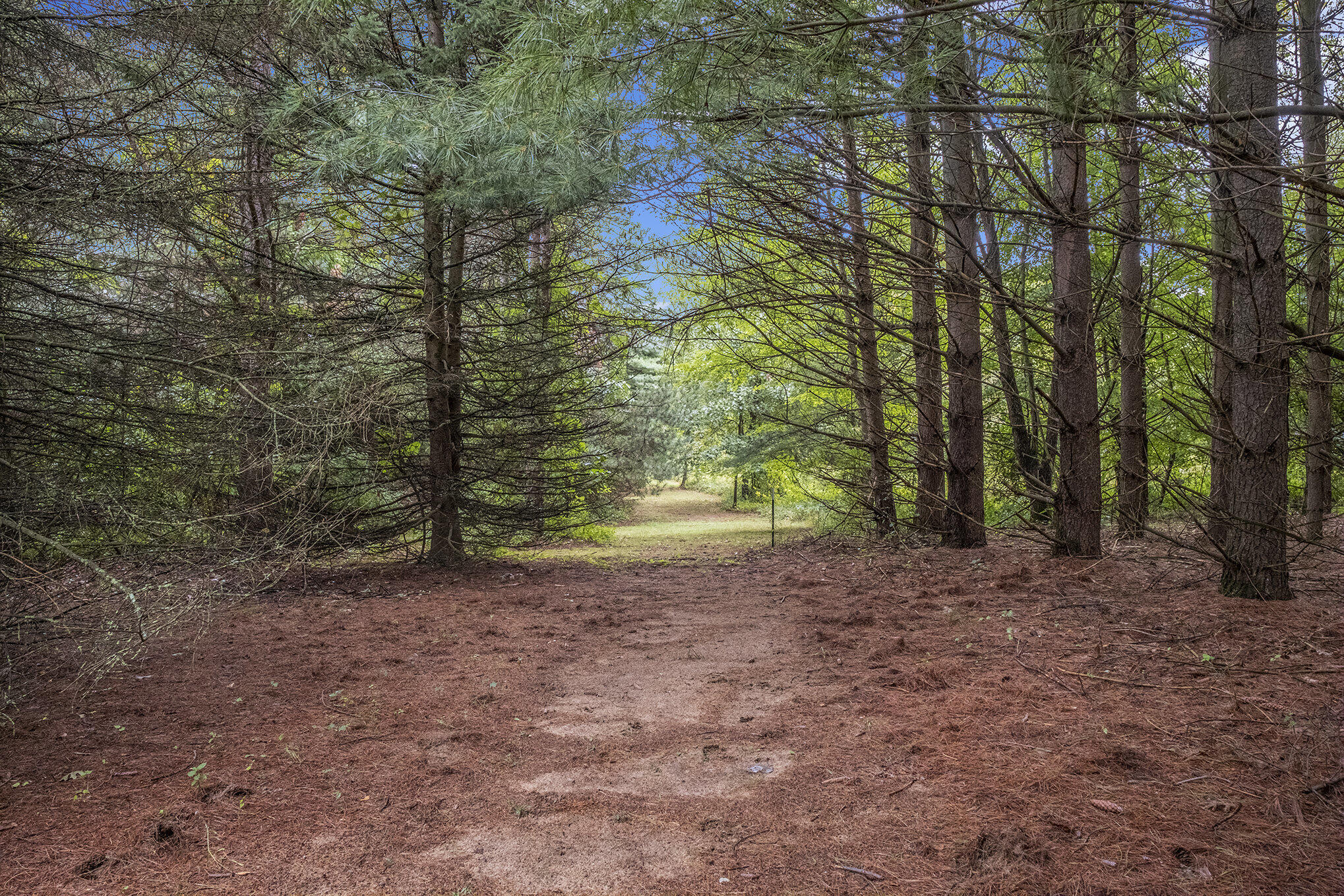8740 Roe Road Chelsea, MI 48118 - Photo 52 of 65 004_sbp_3