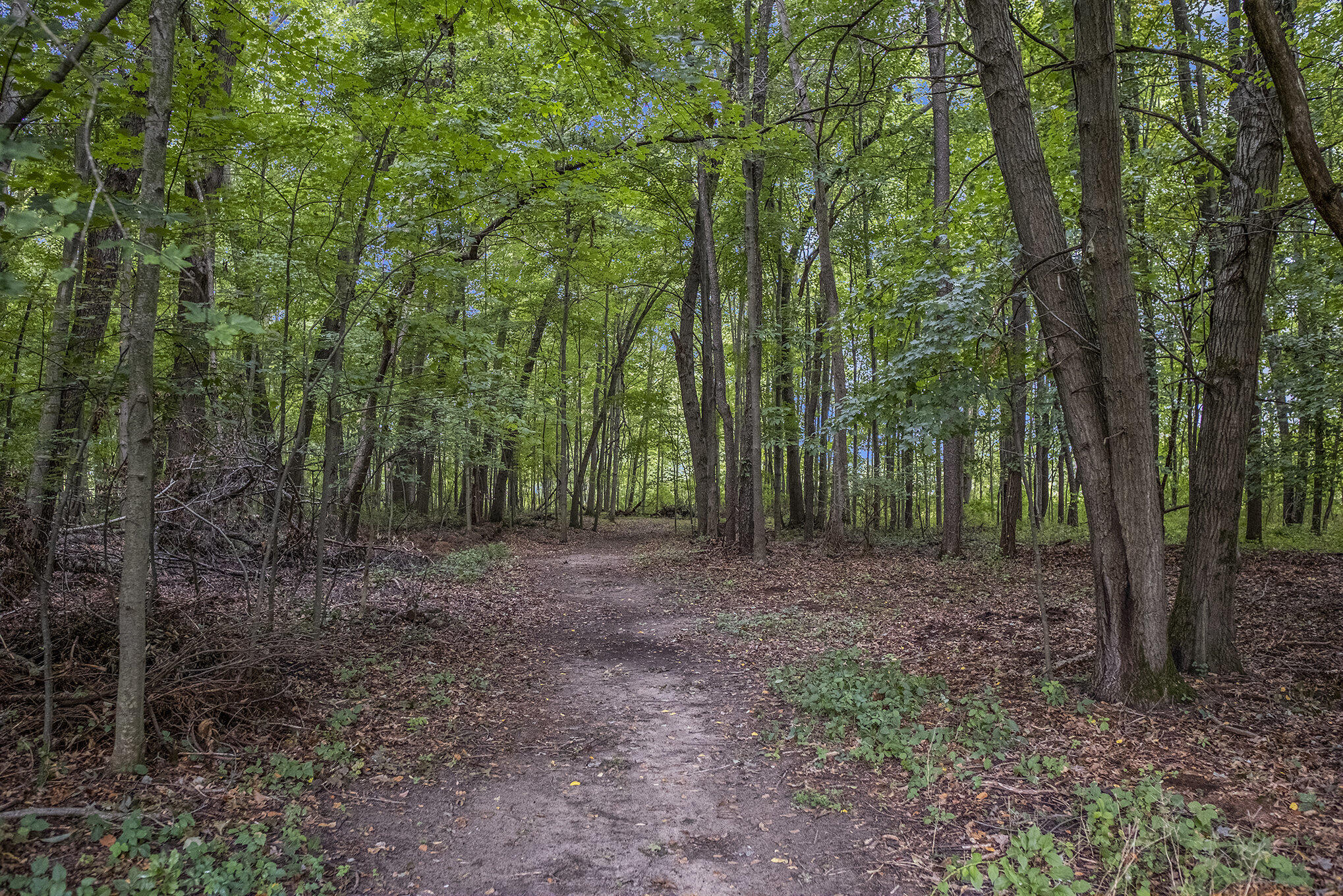 8740 Roe Road Chelsea, MI 48118 - Photo 53 of 65 009_sbp_13