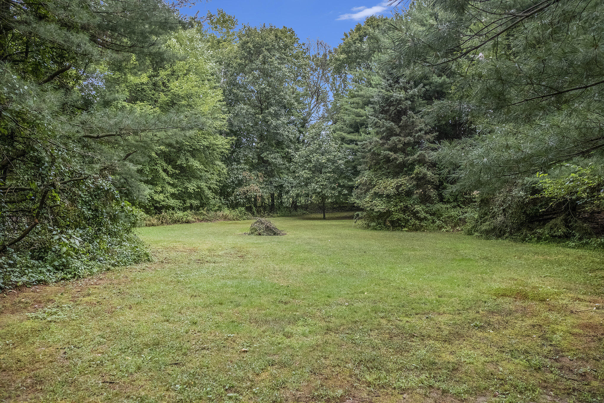 8740 Roe Road Chelsea, MI 48118 - Photo 55 of 65 021_sbp_11
