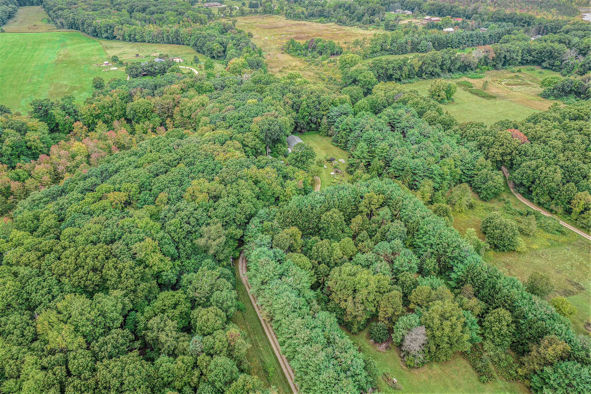 8740 Roe Road Chelsea, MI 48118 - Photo 63 of 65 017_dji_0003