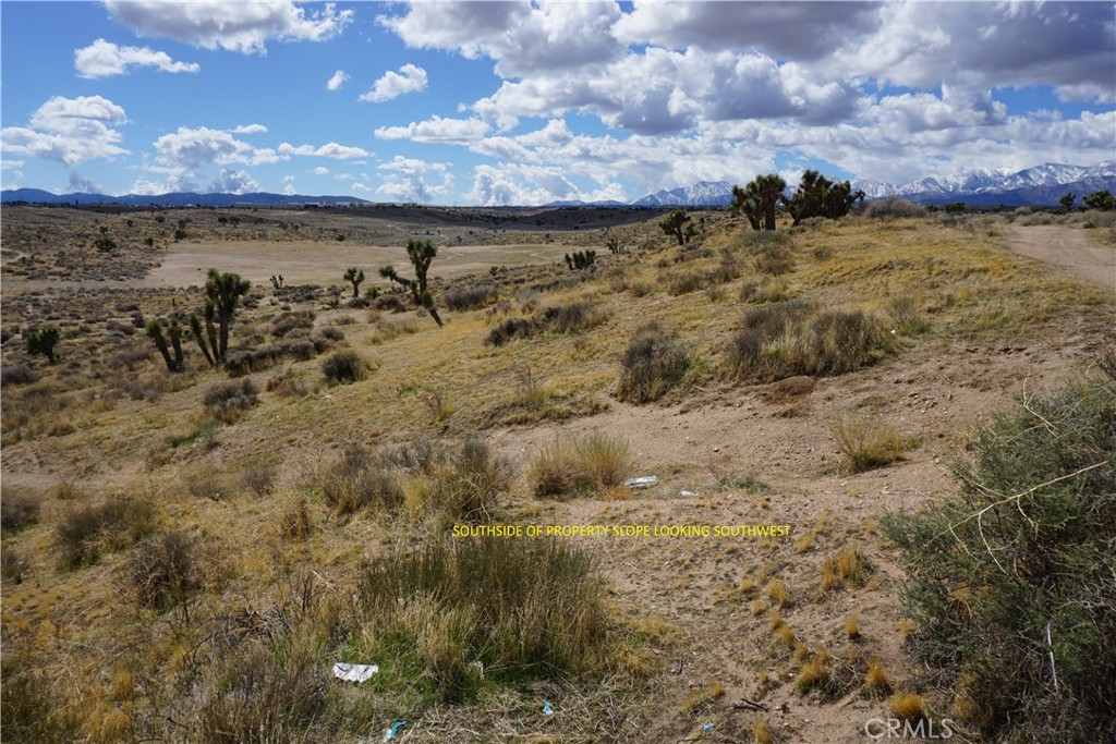 0 Us-395 Hesperia, CA 92344 - Photo 6 of 11 a view of a lake in middle of forest
