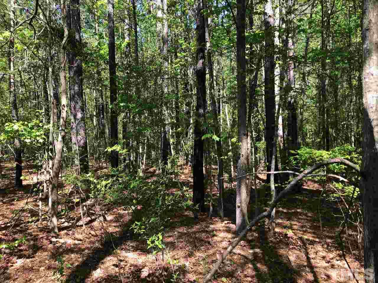 9900 Neils Branch Road Raleigh, NC 27603 - Photo 6 of 8