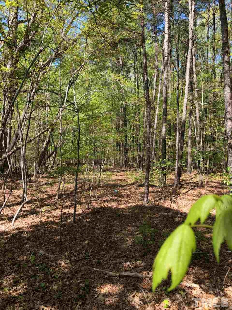 9900 Neils Branch Road Raleigh, NC 27603 - Photo 7 of 8