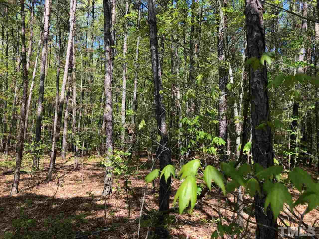 9900 Neils Branch Road Raleigh, NC 27603 - Photo 8 of 8