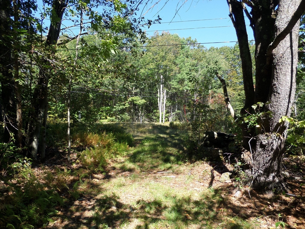 0 Stage Road Williamsburg, MA 01096 - Photo 3 of 8