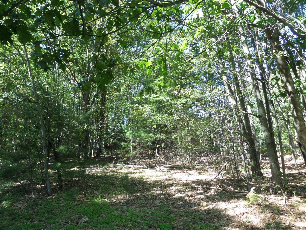 0 Stage Road Williamsburg, MA 01096 - Photo 4 of 8