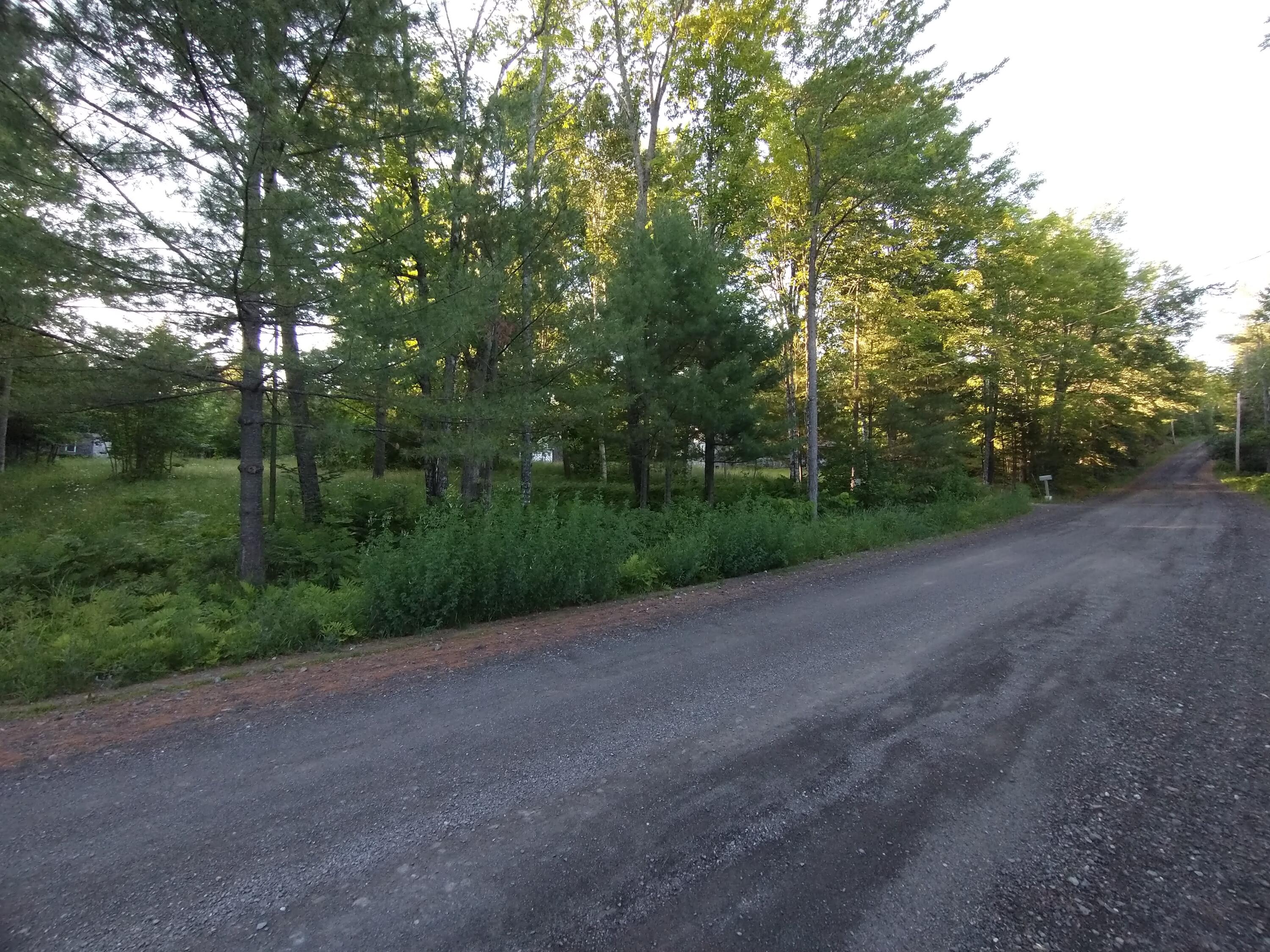 28 Glass Hill Road Guilford, ME 04443 - Photo 83 of 89 IMG_20210623_192404017