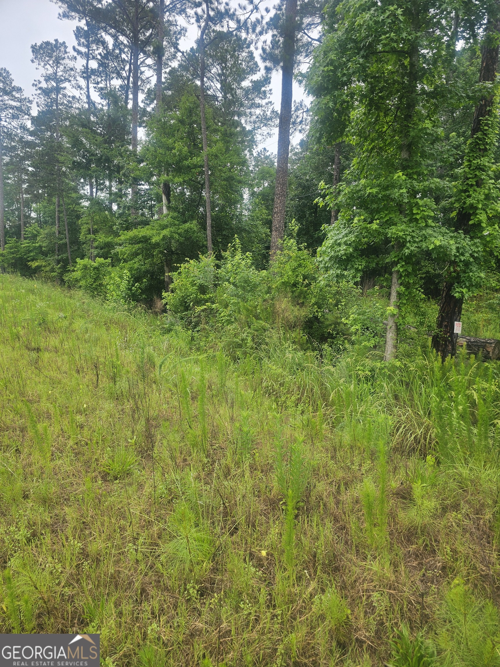 2755 Peeksville Road Locust Grove, GA 30248 - Photo 7 of 14