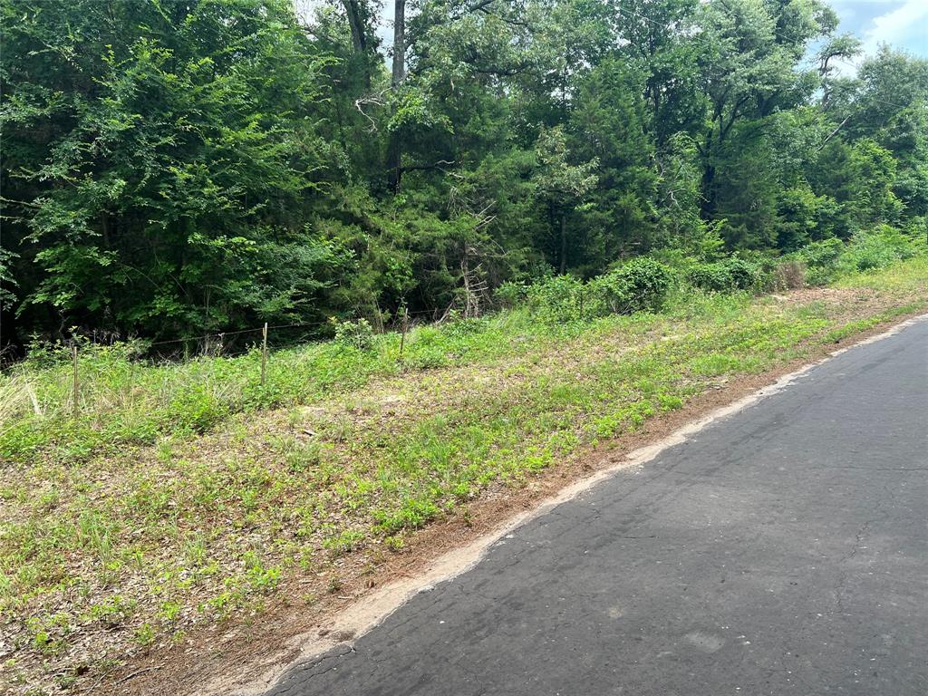 4112 VZ County Road Canton, TX 75103 - Photo 12 of 21