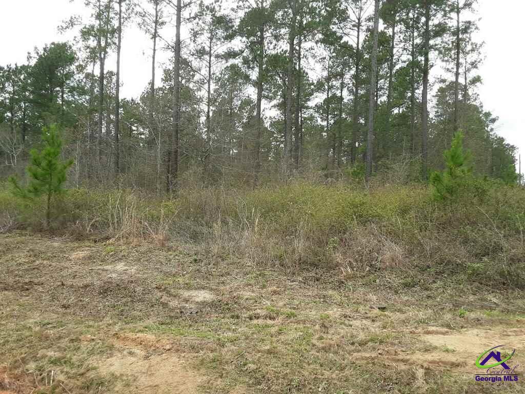 4 Flournoy Road Elko, GA 31025 - Photo 1 of 1