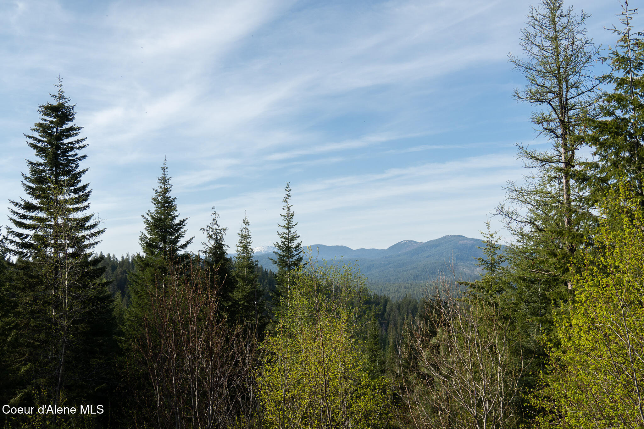 9620 North Hill Road Post Falls, ID 83854 - Photo 3 of 5 TNQ01158 (1)