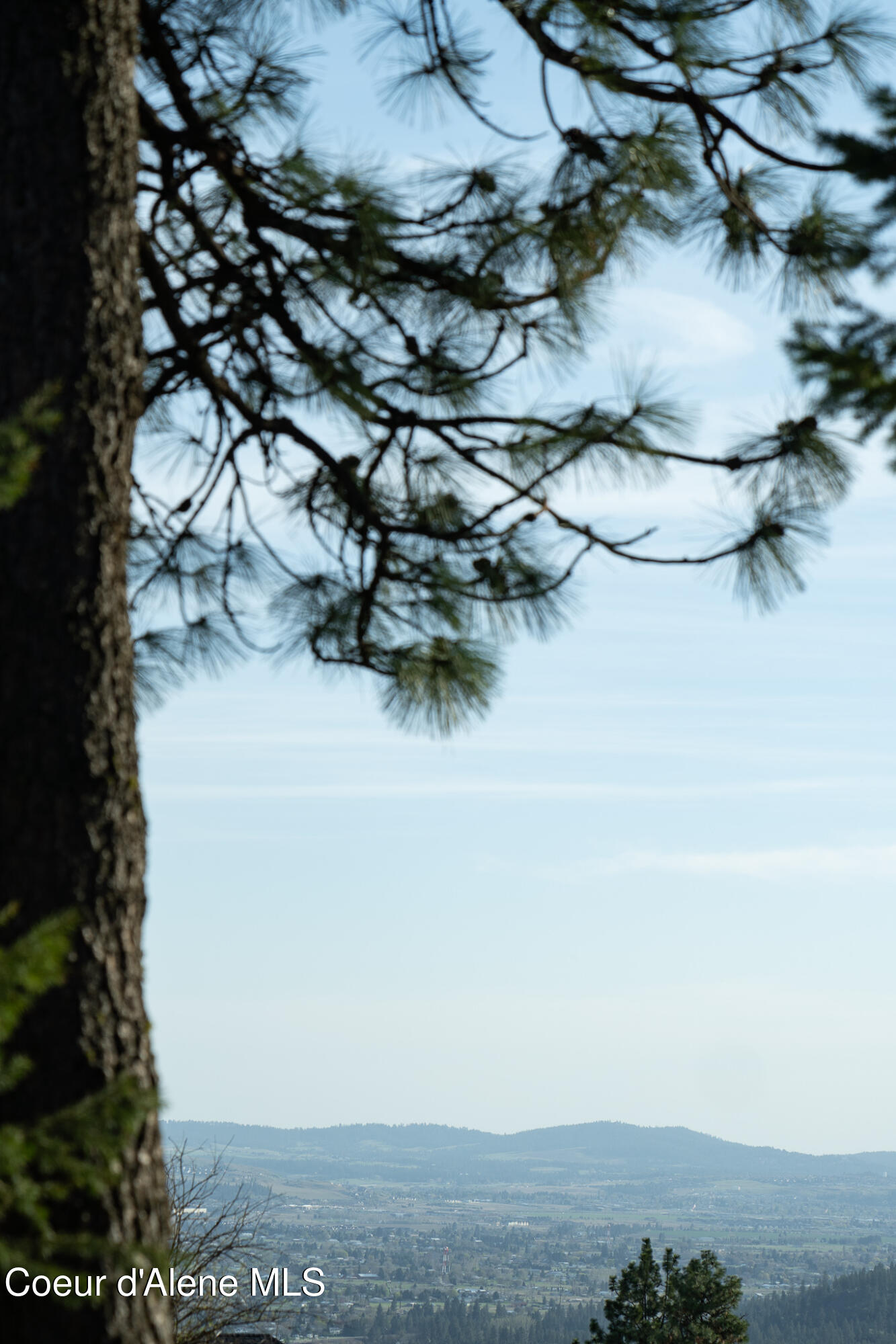 9620 North Hill Road Post Falls, ID 83854 - Photo 4 of 5 TNQ01215 (2)