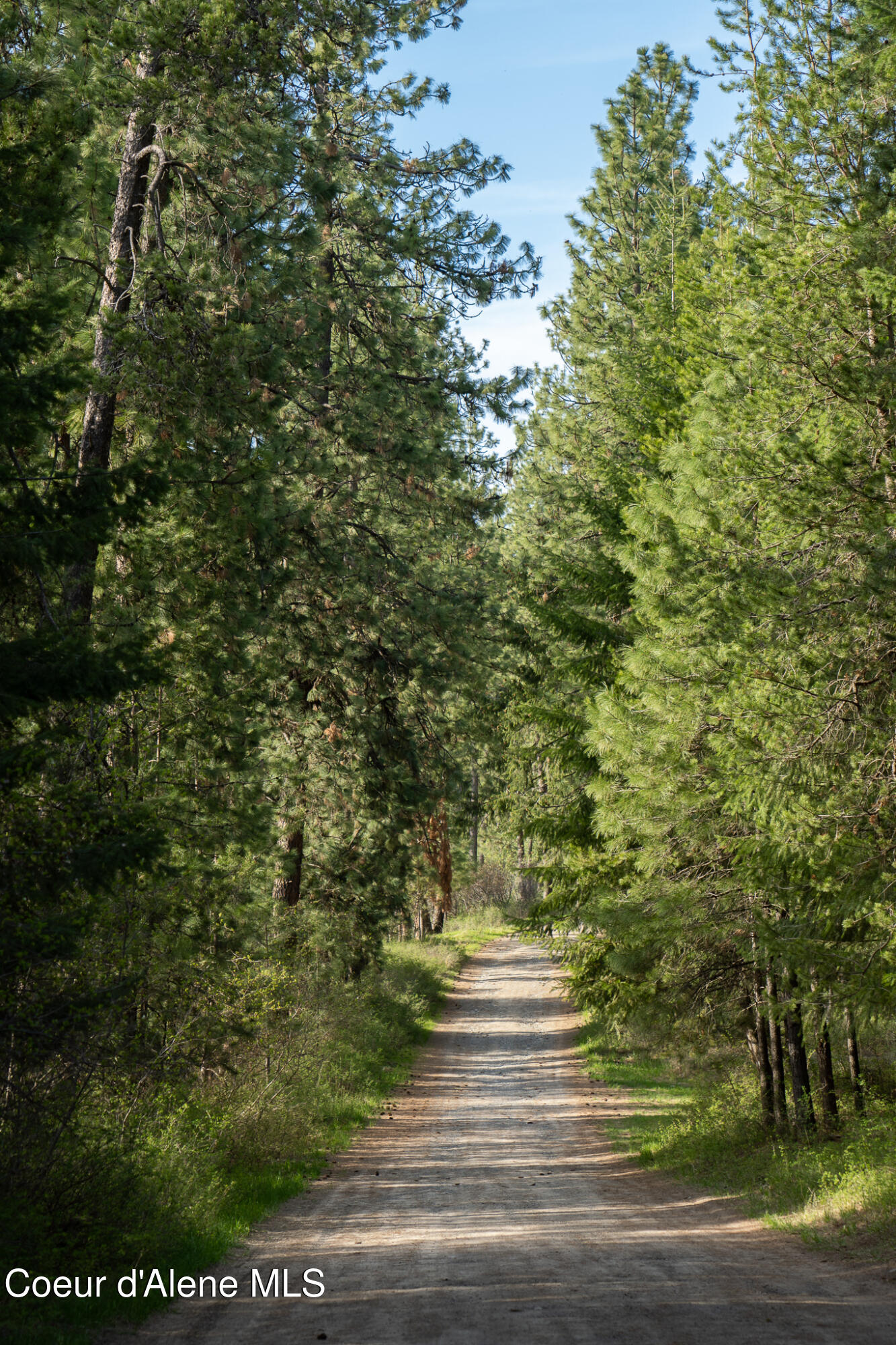 9620 North Hill Road Post Falls, ID 83854 - Photo 5 of 5 TNQ01131
