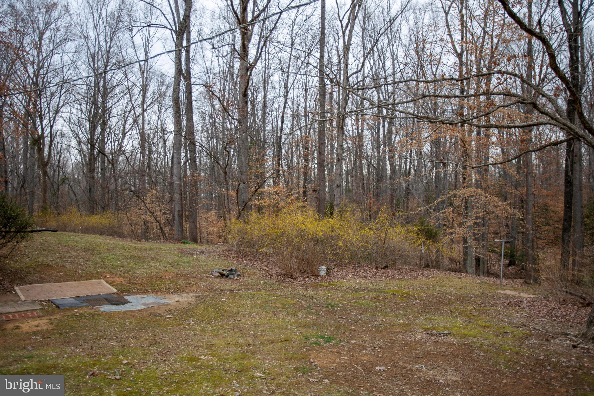11897 Bristersburg Road Midland, VA 22728 - Photo 13 of 14