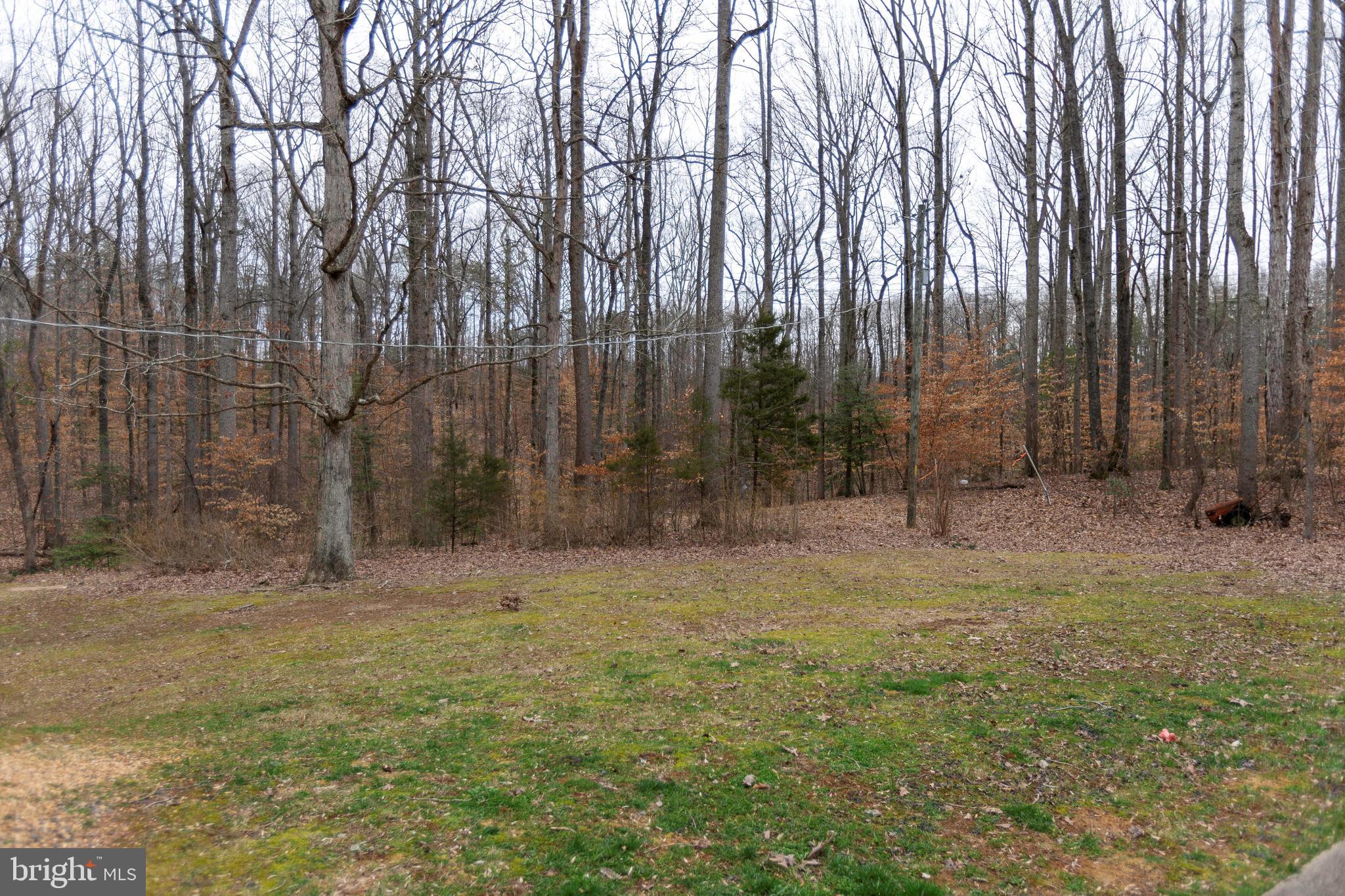 11897 Bristersburg Road Midland, VA 22728 - Photo 14 of 14