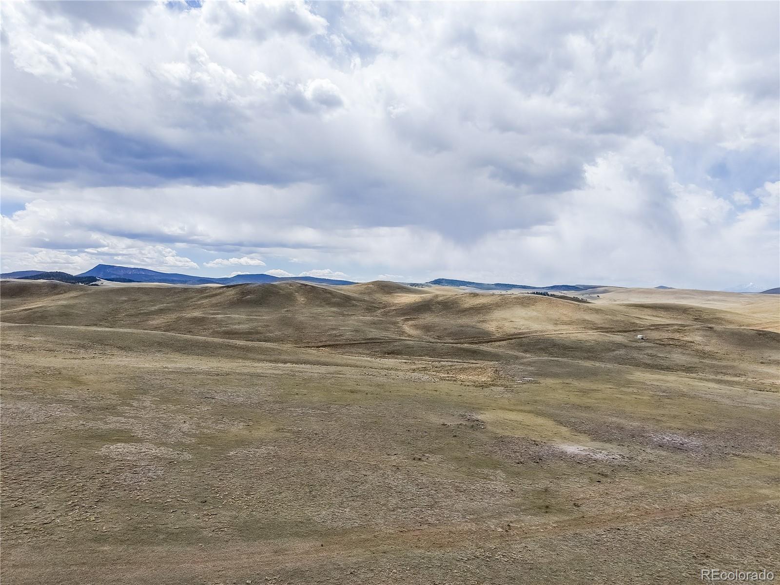 151 Black Beaver Road Hartsel, CO 80449 - Photo 19 of 30