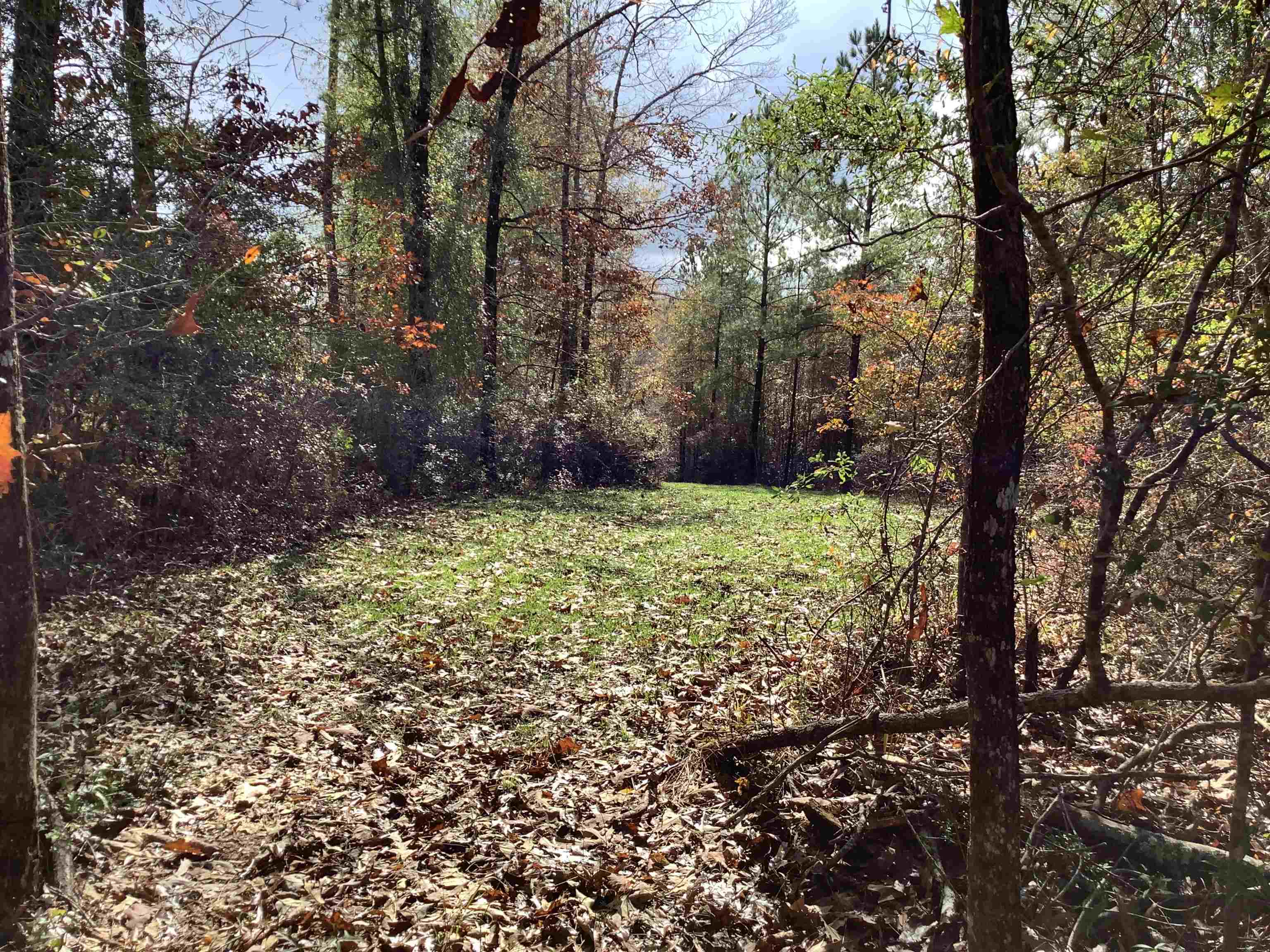 2264 Mulberry Road Brantley, AL 36009 - Photo 7 of 30 Gallery Image 7