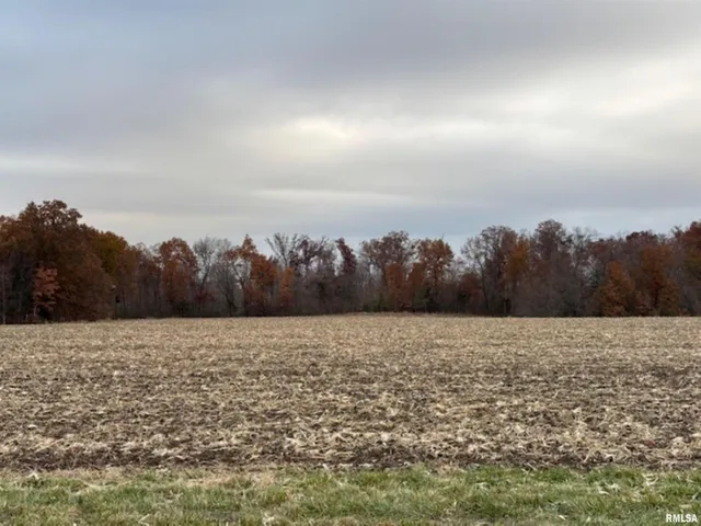 $89,000 | A Alma Hatchery Road, Odin, IL 62870