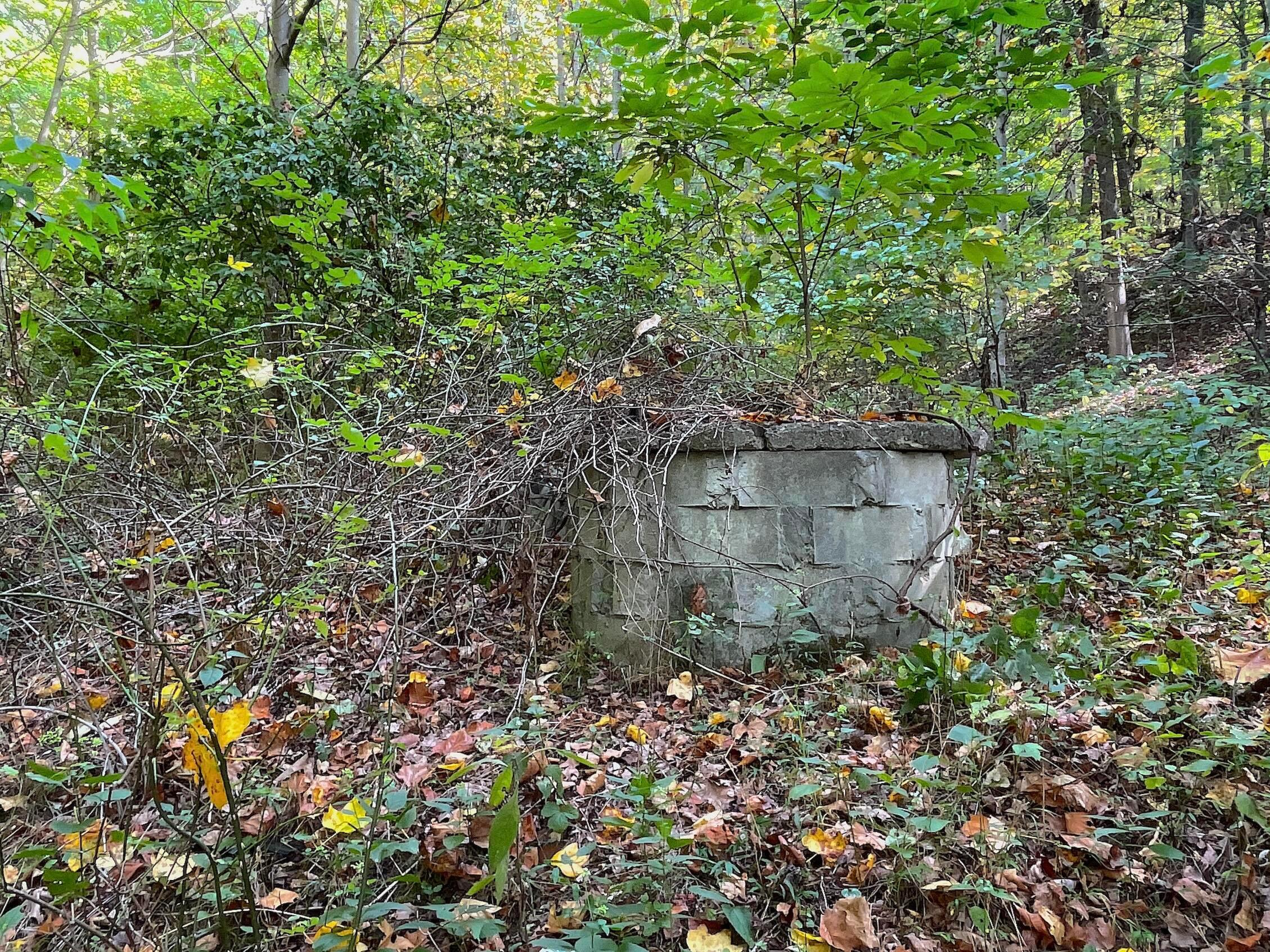 0 Porter Run Road Frankfort, OH 45628 - Photo 4 of 51 IMG_3199
