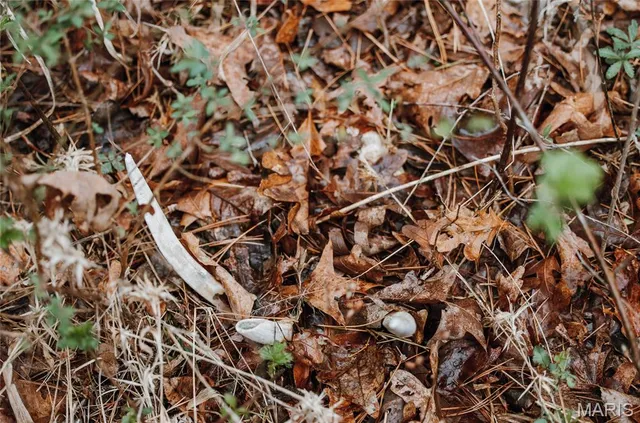 $2,740,905 | 0 Havenwood Road, Potosi, MO 63664