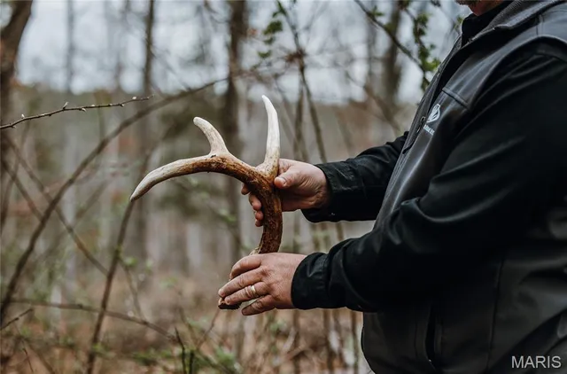 $2,740,905 | 0 Havenwood Road, Potosi, MO 63664