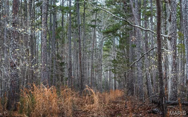 $2,740,905 | 0 Havenwood Road, Potosi, MO 63664