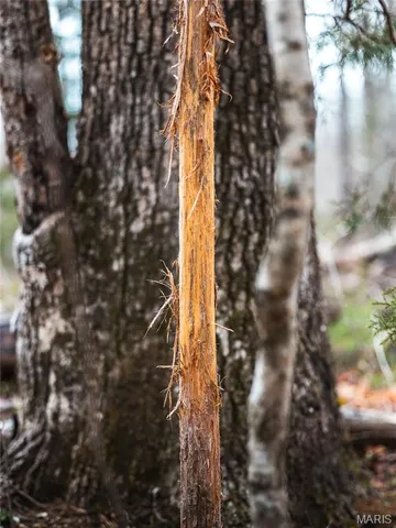 $2,740,905 | 0 Havenwood Road, Potosi, MO 63664