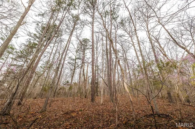 $2,740,905 | 0 Havenwood Road, Potosi, MO 63664