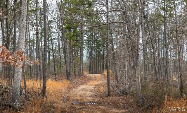 $2,740,905 | 0 Havenwood Road, Potosi, MO 63664