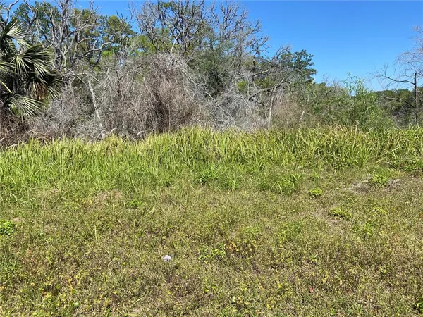 $25,000 | 27-15 Parcel De Leon Springs, De Leon Springs, FL 32130