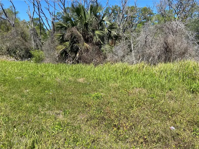 $25,000 | 27-15 Parcel De Leon Springs, De Leon Springs, FL 32130