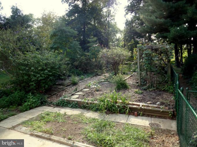 47 Ridge Road, Unit C Greenbelt, MD 20770 - Photo 27 of 30 Backyard